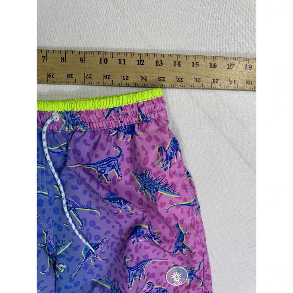 Chubbies Swim Trunks Shorts Men's Small 5
